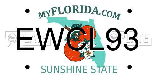 EWCL93 Florida License Plate