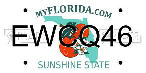 EWCQ46 Florida License Plate
