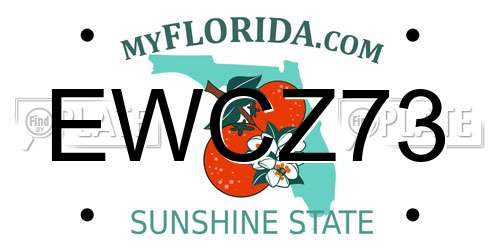 EWCZ73 Florida License Plate