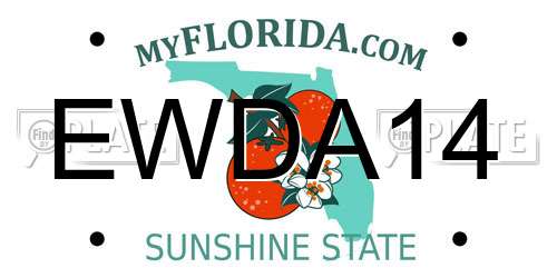 EWDA14 Florida License Plate
