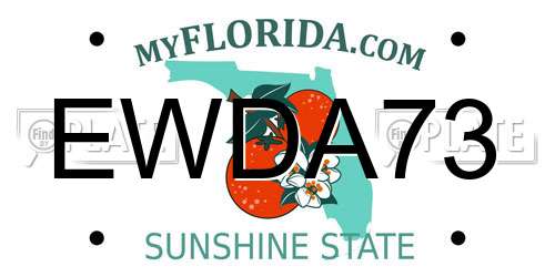 EWDA73 Florida License Plate