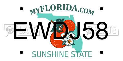 EWDJ58 Florida License Plate