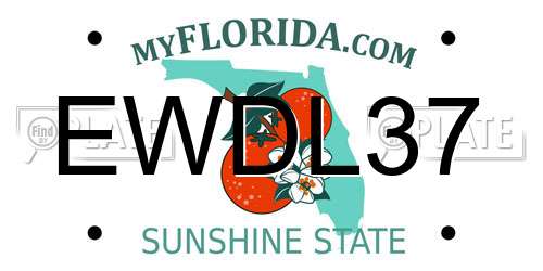 EWDL37 Florida License Plate