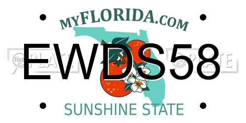 EWDS58 Florida License Plate