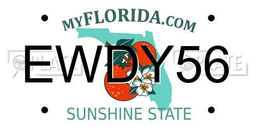 EWDY56 Florida License Plate