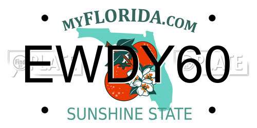 EWDY60 Florida License Plate