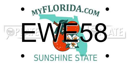 EWE58 Florida License Plate
