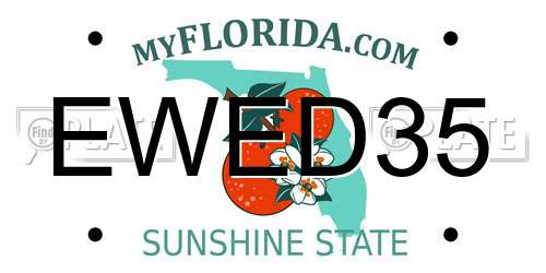EWED35 Florida License Plate