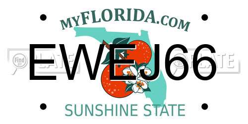 EWEJ66 Florida License Plate