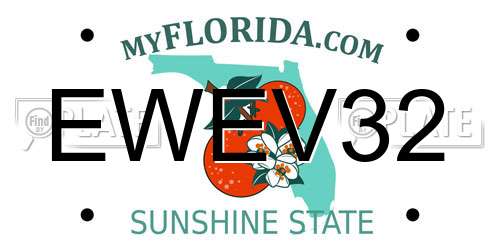 EWEV32 Florida License Plate