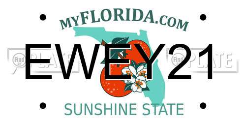 EWEY21 Florida License Plate