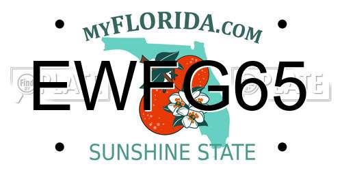 EWFG65 Florida License Plate