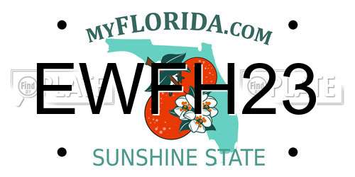 EWFH23 Florida License Plate