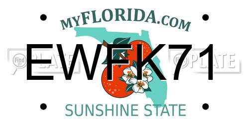 EWFK71 Florida License Plate