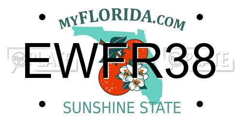 EWFR38 Florida License Plate