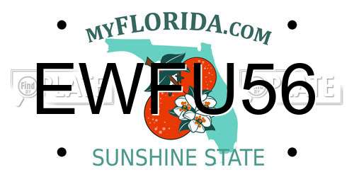EWFU56 Florida License Plate