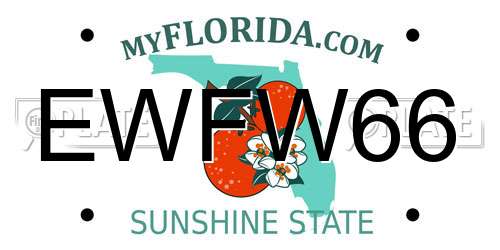 EWFW66 Florida License Plate