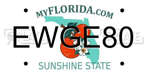 EWGE80 Florida License Plate