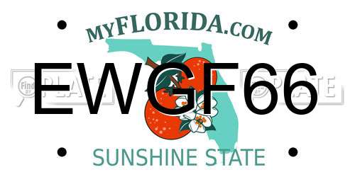EWGF66 Florida License Plate