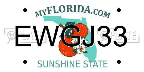 EWGJ33 Florida License Plate