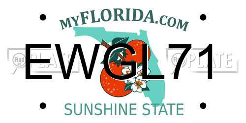 EWGL71 Florida License Plate