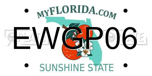EWGP06 Florida License Plate