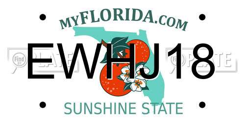 EWHJ18 Florida License Plate