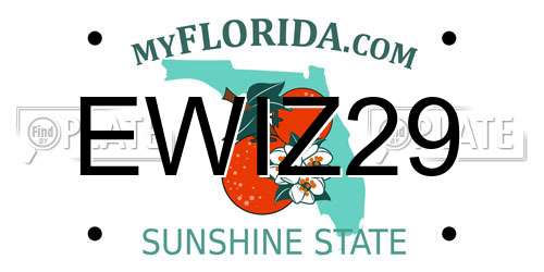 EWIZ29 Florida License Plate