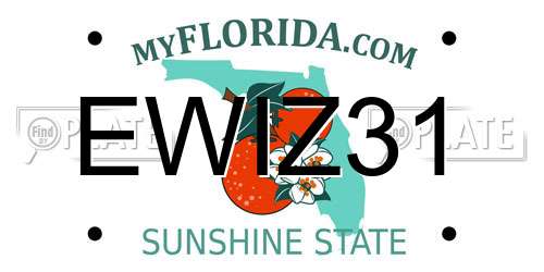 EWIZ31 Florida License Plate