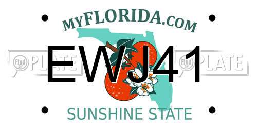 EWJ41 Florida License Plate