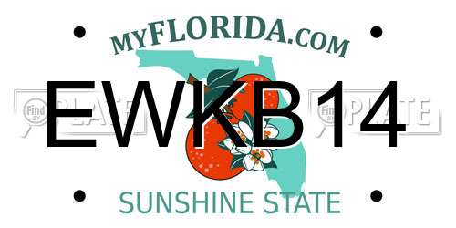 EWKB14 Florida License Plate