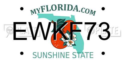 EWKF73 Florida License Plate