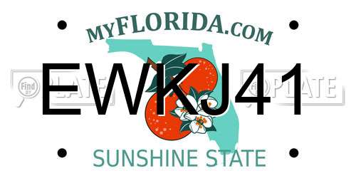 EWKJ41 Florida License Plate