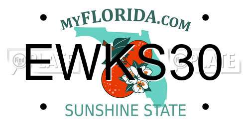 EWKS30 Florida License Plate