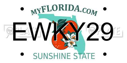 EWKY29 Florida License Plate