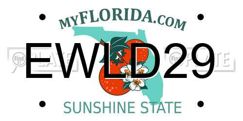 EWLD29 Florida License Plate