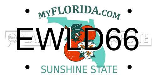 EWLD66 Florida License Plate