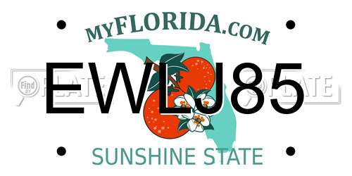 EWLJ85 Florida License Plate