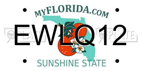 EWLQ12 Florida License Plate