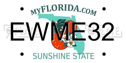EWME32 Florida License Plate