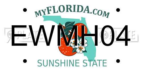 EWMH04 Florida License Plate
