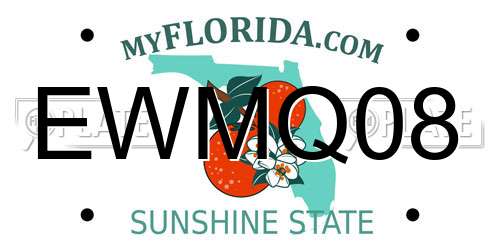 EWMQ08 Florida License Plate