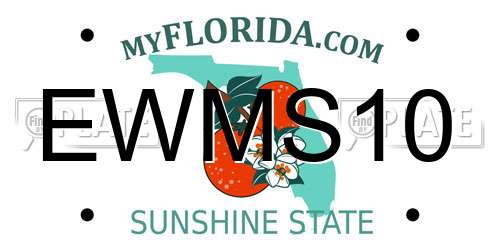 EWMS10 Florida License Plate