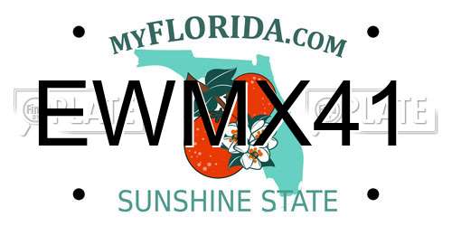 EWMX41 Florida License Plate