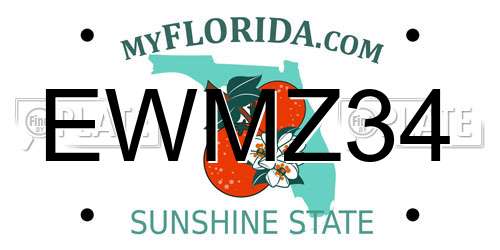 EWMZ34 Florida License Plate