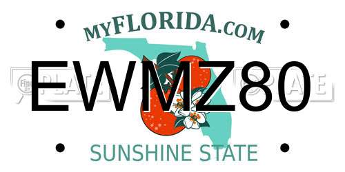 EWMZ80 Florida License Plate
