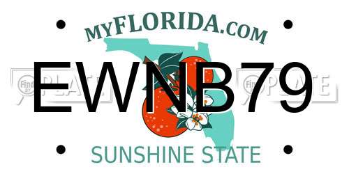 EWNB79 Florida License Plate