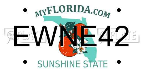 EWNE42 Florida License Plate