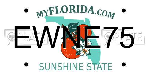 EWNE75 Florida License Plate