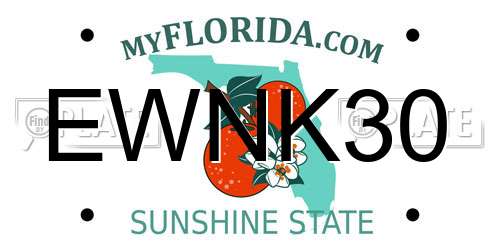 EWNK30 Florida License Plate